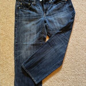 American Eagle Outfitters Dark Blue Boy Fit Jeans